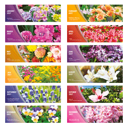 Blooming Seasons